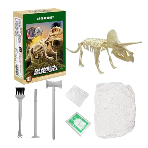 demaxiyad Dinosaurier-Skelett-Ausgrabungsset, Dino-Ausgrabungsset - Dino-Skelett-Ausgrabungsspielzeugmodell - 3D-Dinosaurier-Skelett-Puzzle-Ausstellungsmodelle, baubares Dino-Fossil-Modell für von demaxiyad