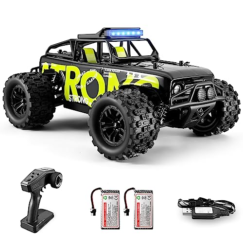 dexinco Ferngesteuertes Auto, 4WD RC Auto, 40 km/h Schnelles RC Truck, 1/18 All Terrains Geländewagen RC Crawler, 2.4GHz RC Fahrzeug, 2 Akku 60 Min, für Kinder ab 8 Jahren/Erwachsene -1813 Grün von dexinco