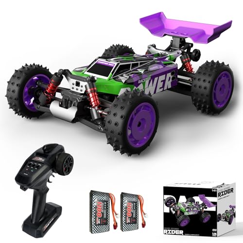 dexinco RC Auto, 1/16 schneller RC Buggy, High Speed 40 km/h ferngesteuertes Auto, 4X4 Offroad Ferngesteuerter Buggy, IPX4 wasserdicht, 2,4 GHz, 2 Lipo-Batterien, Monster RC Truck S911 von dexinco