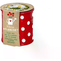 DIE SPIEGELBURG 18480 Kleines Pflanzset Weiße Margerite - Fröhliche Tupfen DIE SPIEGELBURG 18480 Kleines Pflanzset Weiße Margerite - Fröhliche Tupfen von die spiegelburg