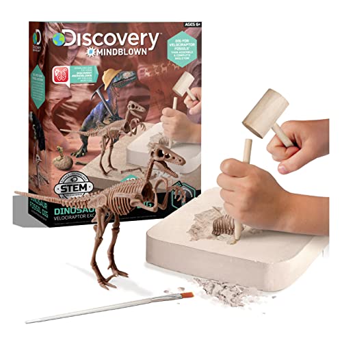 Discovery #Mindblown 1423004881 - Dinosaur Fossil Dig Velociraptor - Ausgrabungsset Dinosaurier - für Kinder ab 6 Jahren von discovery mindblown