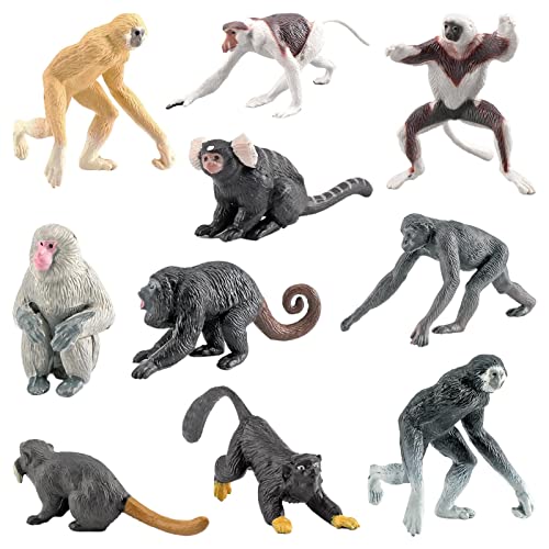 10 Stück Dschungeltiere Affenspielzeug, Actionfiguren, Dschungeltiere Affenspielzeugset, Affenspielzeugfiguren, Schimpanse Mandrill Gibbons Affenfigur Realistische Langschwanzaffe-Modelldekoration von fanelod