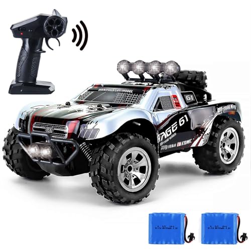 fisca 4X4 RC Ferngesteuertes Off-Road-Spielzeugauto – RC Truck für Kinder und Erwachsene, RC Monster Truck Spielzeug Geschenk für Jungen und Mädchen (Silbrig) von fisca