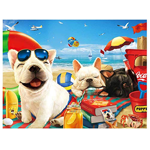 fishwisdom 500-teiliges Puzzle für Erwachsene und Jugendliche und Kinder, Familie, glückliche Geschenkidee, Sonnenbad fishwisdom 500-teiliges Puzzle für Erwachsene und Jugendliche und Kinder, Familie, glückliche Geschenkidee, Sonnenbad von fishwisdom