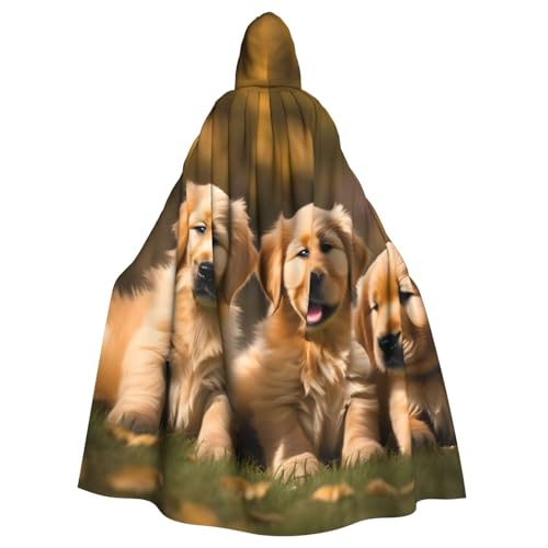 gikdlgog Golden Retriever Kapuzenumhang für Hunde, Welpen, Haustiere, elegant, Halloween-Partys, Maskerade, Motto-Partys und mehr Cosplay von gikdlgog