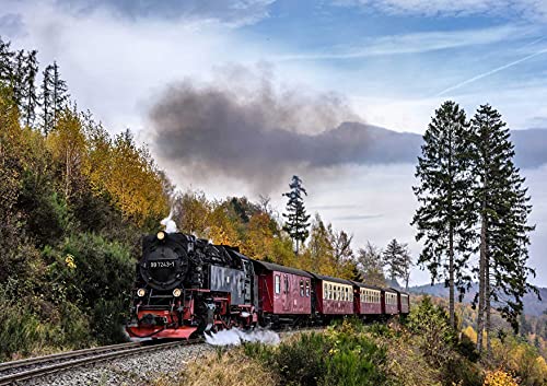 HANSEPUZZLE 100881 - Dampflokomotive Puzzle 130 Teile | Fortbewegung Puzzle mit hochwertiger Puzzle Aufbewahrung: Kartonbox und wiederverschließbarem Beutel | Puzzle-Maße: 28,7 x 20 cm HANSEPUZZLE 100881 - Dampflokomotive Puzzle 130 Teile | Fortbewegung Puzzle mit hochwertiger Puzzle Aufbewahrung: Kartonbox und wiederverschließbarem Beutel | Puzzle-Maße: 28,7 x 20 cm von hansepuzzle