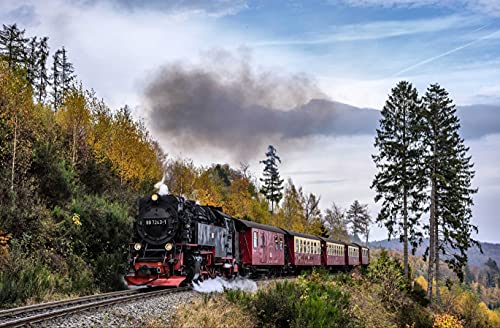 HANSEPUZZLE 100883 - Dampflokomotive Puzzle 500 Teile | Fortbewegung Puzzle mit hochwertiger Puzzle Aufbewahrung: Kartonbox und wiederverschließbarem Beutel | Puzzle-Maße: 46 x 30 cm von hansepuzzle