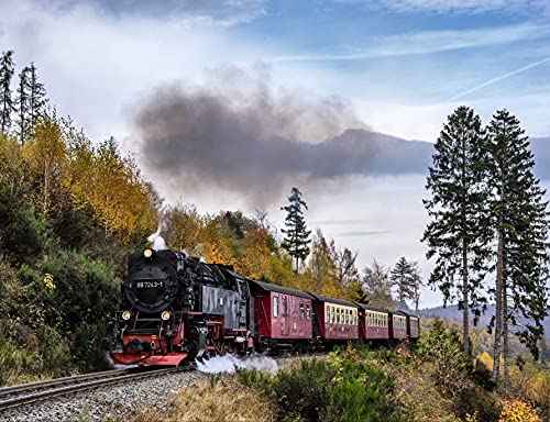 HANSEPUZZLE 100884 - Dampflokomotive Puzzle 1000 Teile | Fortbewegung Puzzle mit hochwertiger Puzzle Aufbewahrung: Kartonbox und Wieder verschließbarem Beutel | Puzzle-Maße: 60 x 46 cm von hansepuzzle