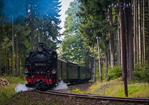 HANSEPUZZLE 108339 - Lokomotive Puzzle 130 Teile | Fortbewegung Puzzle mit hochwertiger Puzzle Aufbewahrung: Kartonbox und wiederverschließbarem Beutel | Puzzle-Maße: 28,7 x 20 cm HANSEPUZZLE 108339 - Lokomotive Puzzle 130 Teile | Fortbewegung Puzzle mit hochwertiger Puzzle Aufbewahrung: Kartonbox und wiederverschließbarem Beutel | Puzzle-Maße: 28,7 x 20 cm von hansepuzzle