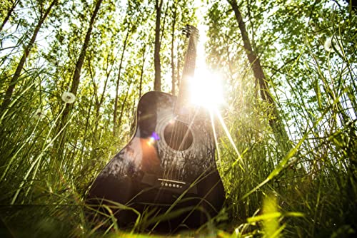 HANSEPUZZLE 15388 - Gitarre im Wald Puzzle 2000 Teile | Musik Puzzle mit hochwertiger Puzzle Aufbewahrung: Kartonbox und Wieder verschließbarem Beutel | Puzzle-Maße: 90 x 60 cm HANSEPUZZLE 15388 - Gitarre im Wald Puzzle 2000 Teile | Musik Puzzle mit hochwertiger Puzzle Aufbewahrung: Kartonbox und Wieder verschließbarem Beutel | Puzzle-Maße: 90 x 60 cm von hansepuzzle