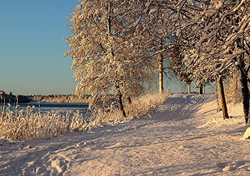 hansepuzzle 50676 - Winter Puzzle 130 Teile | Natur Puzzle mit hochwertiger Puzzle Aufbewahrung: Kartonbox und wiederverschließbarem Beutel | Puzzle-Maße: 28,7 x 20 cm von hansepuzzle