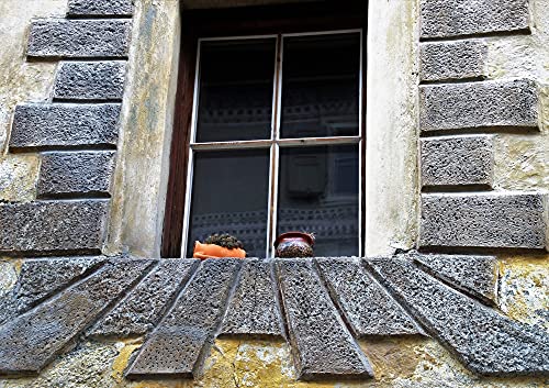 HANSEPUZZLE 61910 - Haus Puzzle 130 Teile | Gebäude Puzzle mit hochwertiger Puzzle Aufbewahrung: Kartonbox und wiederverschließbarem Beutel | Puzzle-Maße: 28,7 x 20 cm HANSEPUZZLE 61910 - Haus Puzzle 130 Teile | Gebäude Puzzle mit hochwertiger Puzzle Aufbewahrung: Kartonbox und wiederverschließbarem Beutel | Puzzle-Maße: 28,7 x 20 cm von hansepuzzle