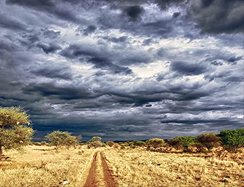 hansepuzzle 80090 - Namibia Puzzle 1000 Teile | Natur Puzzle mit hochwertiger Puzzle Aufbewahrung: Kartonbox und Wieder verschließbarem Beutel | Puzzle-Maße: 60 x 46 cm von hansepuzzle