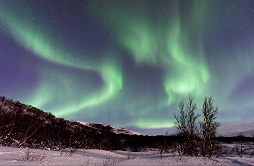 hansepuzzle 10867 - Polarlichter Puzzle 500 Teile | Natur Puzzle mit hochwertiger Puzzle Aufbewahrung: Kartonbox und Wieder verschließbarem Beutel | Puzzle-Maße: 46 x 30 cm hansepuzzle 10867 - Polarlichter Puzzle 500 Teile | Natur Puzzle mit hochwertiger Puzzle Aufbewahrung: Kartonbox und Wieder verschließbarem Beutel | Puzzle-Maße: 46 x 30 cm von hansepuzzle