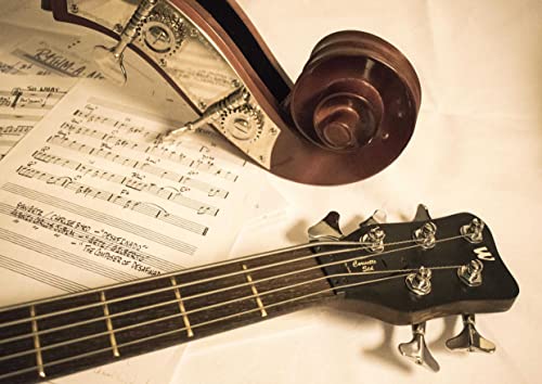 hansepuzzle 13636 - Musik-Instrument Puzzle 260 Teile | Musik Puzzle mit hochwertiger Puzzle Aufbewahrung: Kartonbox und wiederverschließbarem Beutel | Puzzle-Maße: 41 x 28,7 cm hansepuzzle 13636 - Musik-Instrument Puzzle 260 Teile | Musik Puzzle mit hochwertiger Puzzle Aufbewahrung: Kartonbox und wiederverschließbarem Beutel | Puzzle-Maße: 41 x 28,7 cm von hansepuzzle