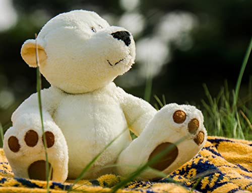 HANSEPUZZLE 14374 - Teddy im Urlaub Puzzle 1000 Teile | Tierwelt Puzzle mit hochwertiger Puzzle Aufbewahrung: Kartonbox und Wieder verschließbarem Beutel | Puzzle-Maße: 60 x 46 cm von hansepuzzle