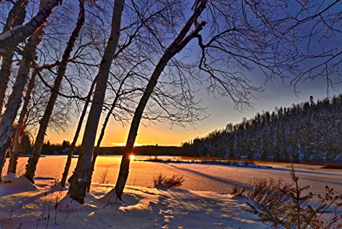 hansepuzzle 31900 - Winterlandschaft Puzzle 2000 Teile | Natur Puzzle mit hochwertiger Puzzle Aufbewahrung: Kartonbox und Wieder verschließbarem Beutel | Puzzle-Maße: 90 x 60 cm von hansepuzzle