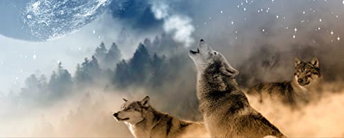 HANSEPUZZLE 35425 - Wolf Panorama-Puzzle 2000 Teile | Tierwelt Puzzle mit hochwertiger Puzzle Aufbewahrung: Kartonbox und Wieder verschließbarem Beutel | Puzzle-Maße: 116,6 x 46,7 cm von hansepuzzle