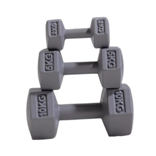 harayaa 3X Puppenhaus Gym Barbell Miniatur Wasserkocher Glocke DIY Szene Dekorative Simulation Mini Hanteln Modell für Kinder Kinder, Grau von harayaa