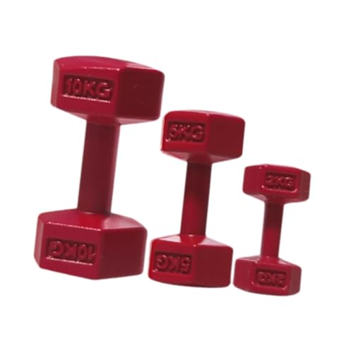 harayaa 3X Puppenhaus Gym Barbell Miniatur Wasserkocher Glocke DIY Szene Dekorative Simulation Mini Hanteln Modell für Kinder Kinder, Rot von harayaa