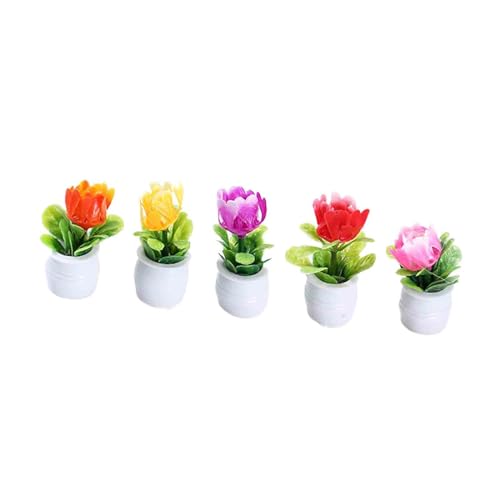 harayaa 5X Mini Blumentopf Puppenhaus Pflanze Miniatur Bonsai Pflanze Kinder Spielzeug Micro Landschaft Puppenhaus Topfpflanzen für Maßstab 1/12 von harayaa