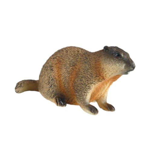 harayaa Groundhog Model Figure Desktop Orament Bildungsmarmots Skulptur für Kinder, Hocken von harayaa