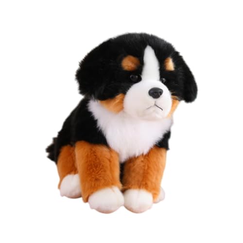 harayaa Hunde-Plüschtier, umarmendes Plüschtier, Cartoon-schöne Hundepuppen, Sofa-Ornamente, Stofftiere für Kinder, Jungen und Mädchen, Berner Sennenhund von harayaa