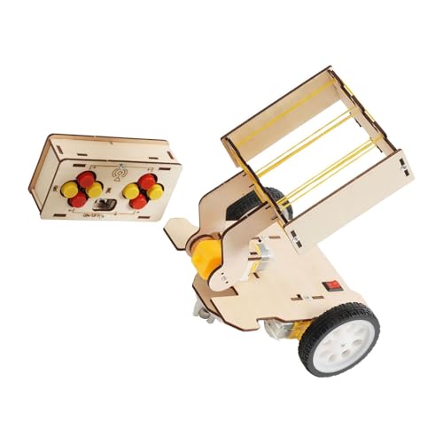 harayaa RC Auto Spielzeug Holz Wissenschaft Kits Klassenzimmer Lehre Ball Pickup Auto Modell Frühen Lernen von harayaa