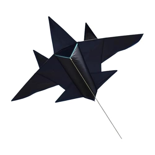 harayaa Warplane Kite Sports Spielzeug tragbare große Größe Spielzeugflugzeug -Flugzeugdelta Kite für Outdoor -Spiele Jungen Mädchen Kinder Anfänger, Schwarz, Mittel von harayaa