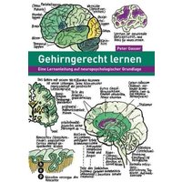 Gehirngerecht lernen von hep verlag