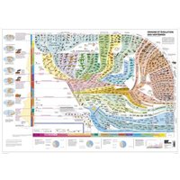 Wirbeltieratlas (Poster) von hep verlag