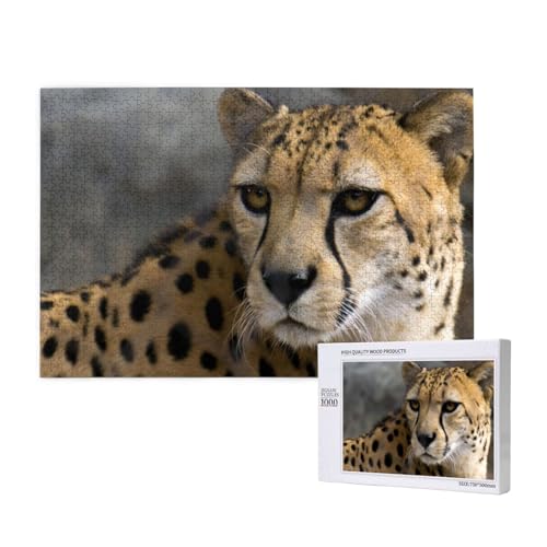 Aufmerksamer, anmutiger Leopard Puzzle 1000 Teile für Erwachsene, Lernspiele, Heimdekorationspuzzle – Denksport-Puzzle 1000 Teile von houhm