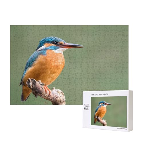 Augen - Scharfer Eisvogel 300-teiliges Puzzle, Für Kinder ab 9 Jahren Lernspielzeug-300 Teile 28X40cm von houhm