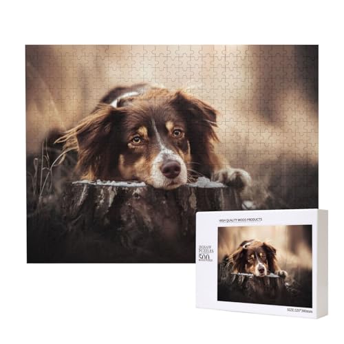 Australischer Schäferhund auf einem Baumstumpf Puzzle für 500 Personen, für Erwachsene und Kinder ab 12 Jahren, anspruchsvolles Puzzle, Puzzlegröße 38 x 52 cm von houhm