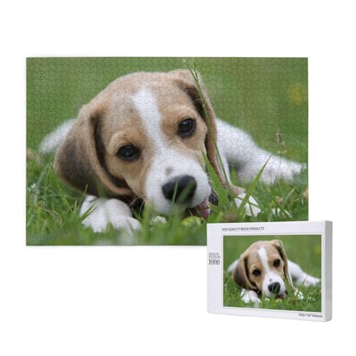 Beagle mit großen Ohren Puzzle 1000 Teile für Erwachsene, Lernspiele, Heimdekorationspuzzle – Denksport-Puzzle 1000 Teile von houhm