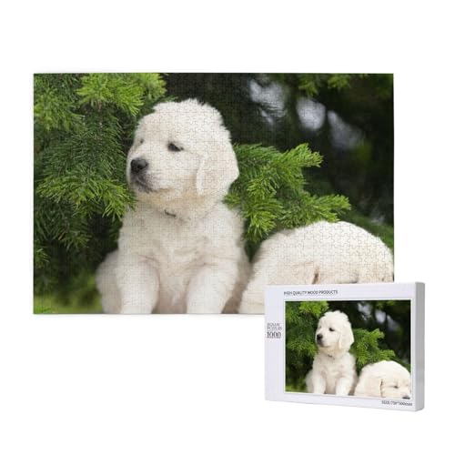 Bichon Frisé Puzzle 1000 Teile für Erwachsene, Lernspiele, Heimdekorationspuzzle – Denksport-Puzzle 1000 Teile von houhm