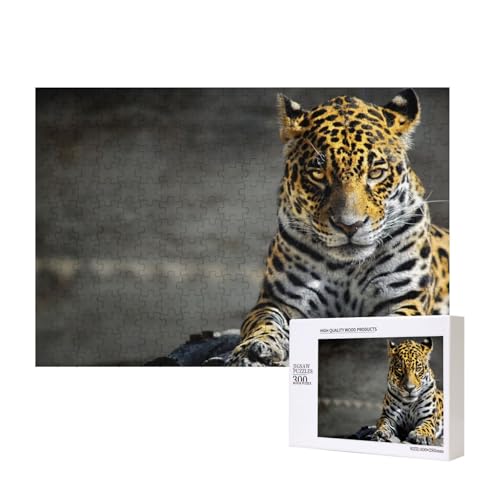 Cooler Jaguar 300-teiliges Puzzle, Für Kinder ab 9 Jahren Lernspielzeug-300 Teile 28X40cm von houhm