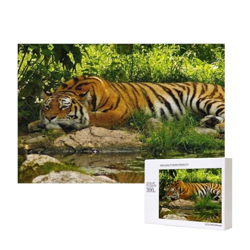 Creek Rest Tiger 300-teiliges Puzzle, Für Kinder ab 9 Jahren Lernspielzeug-300 Teile 28X40cm von houhm