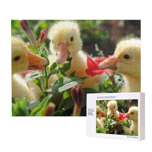 DREI kleine gelbe Enten Puzzle für 500 Personen, für Erwachsene und Kinder ab 12 Jahren, anspruchsvolles Puzzle, Puzzlegröße 38 x 52 cm von houhm