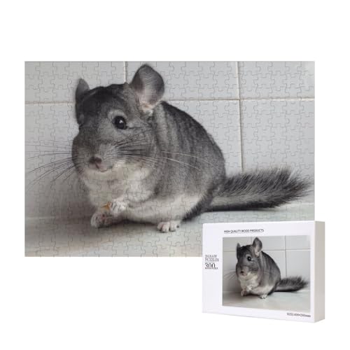 Das stehlende Chinchilla 300-teiliges Puzzle, Für Kinder ab 9 Jahren Lernspielzeug-300 Teile 28X40cm von houhm