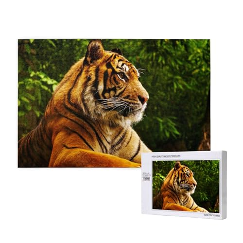 Dickhäutiger Tiger Puzzle 1000 Teile für Erwachsene, Lernspiele, Heimdekorationspuzzle – Denksport-Puzzle 1000 Teile von houhm