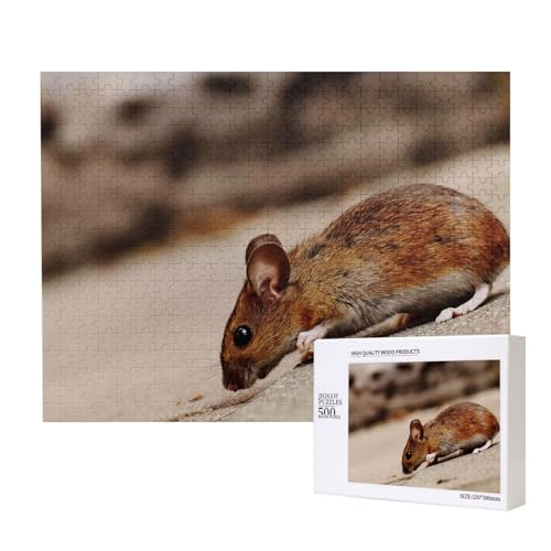 Downhill Rat Puzzle für 500 Personen, für Erwachsene und Kinder ab 12 Jahren, anspruchsvolles Puzzle, Puzzlegröße 38 x 52 cm von houhm