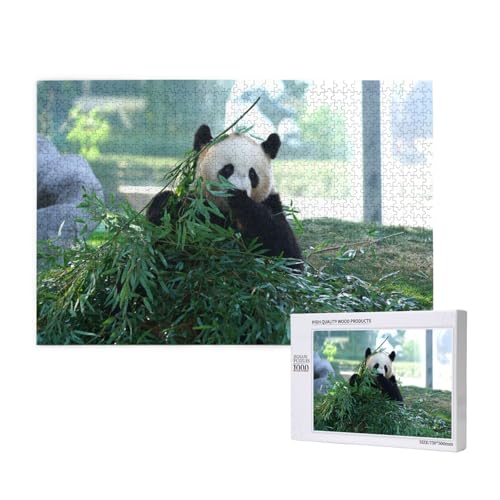 EIN Bündel grüne Blätter und Panda Puzzle 1000 Teile für Erwachsene, Lernspiele, Heimdekorationspuzzle – Denksport-Puzzle 1000 Teile von houhm