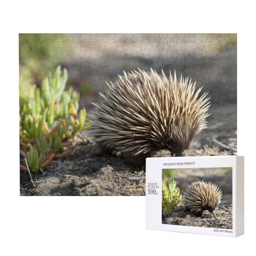 EIN Igel auf Nahrungssuche Puzzle für 500 Personen, für Erwachsene und Kinder ab 12 Jahren, anspruchsvolles Puzzle, Puzzlegröße 38 x 52 cm von houhm