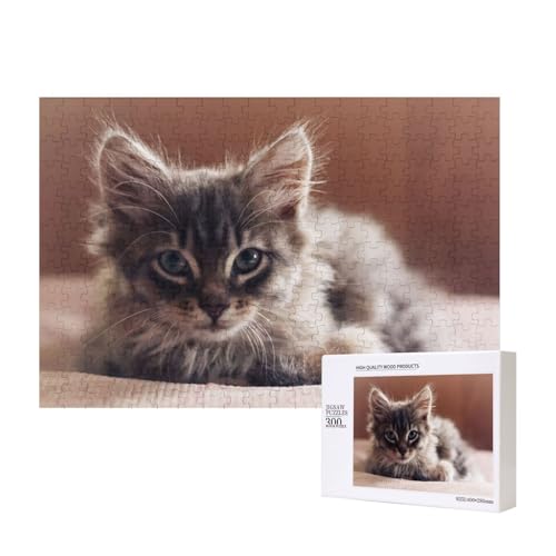 Ehrfurchtgebietende Maine Coon(1) 300-teiliges Puzzle, Für Kinder ab 9 Jahren Lernspielzeug-300 Teile 28X40cm von houhm