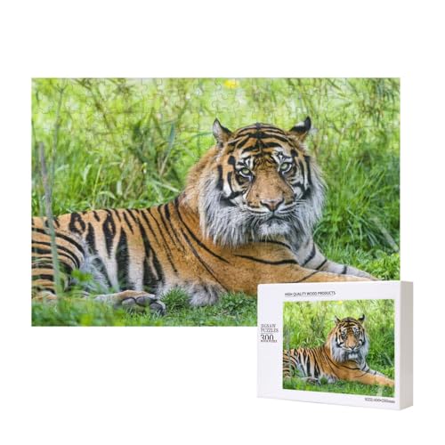 Einen Muskeltiger Nicht bewegen 300-teiliges Puzzle, Für Kinder ab 9 Jahren Lernspielzeug-300 Teile 28X40cm von houhm