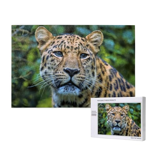 Einsamer Plüschohrleopard Puzzle 1000 Teile für Erwachsene, Lernspiele, Heimdekorationspuzzle – Denksport-Puzzle 1000 Teile von houhm