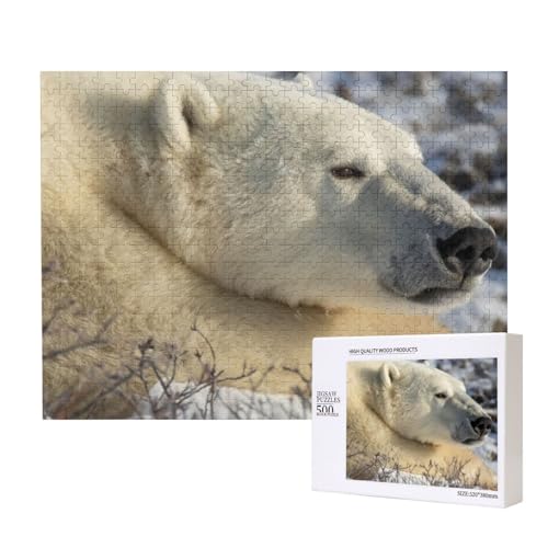 Eisbär mit großem Nasenloch Puzzle für 500 Personen, für Erwachsene und Kinder ab 12 Jahren, anspruchsvolles Puzzle, Puzzlegröße 38 x 52 cm von houhm