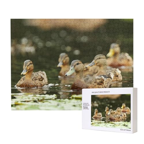 Enten in Einer Herde Puzzle für 500 Personen, für Erwachsene und Kinder ab 12 Jahren, anspruchsvolles Puzzle, Puzzlegröße 38 x 52 cm von houhm