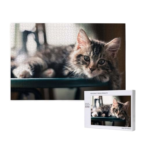 Faule Maine Coon Katze Puzzle 1000 Teile für Erwachsene, Lernspiele, Heimdekorationspuzzle – Denksport-Puzzle 1000 Teile von houhm